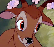 Bambi