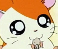 Hamtaro
